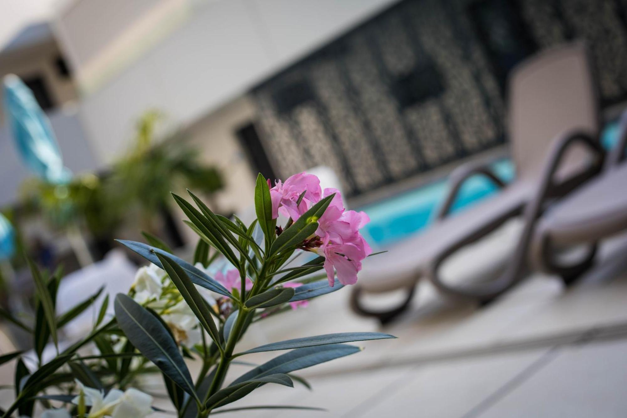 Sunset Resort - Lakeside Apartment Fonyod ภายนอก รูปภาพ